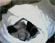 مذكرات صدام حسن قبل اعدامه Images?q=tbn:ANd9GcQ6NasUlX5IK83yQtprp1NurL8C1Iwti0OeLxoOyDqmoc9FPl-ErLxPS27E9A