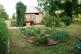 Landscape Santa Cruz fall gardening