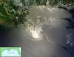Deepwater Horizon oil spill - Wikipedia, the free encyclopedia