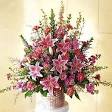 Flower Arranging Instructions