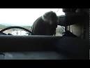 US Border Patrol - Worldnews.