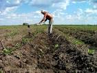 Uruguay – Agricultura © Góngora | Ethical Traveler