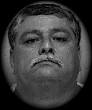 Organized Crime Syndicates