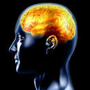 What Causes <b>Epilepsy</b>?