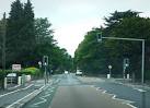 SZ0892 : Green light in Wimborne Road. near to Bournemouth, Great Britain - via Daymix