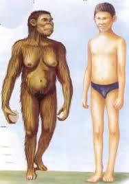 external image images?q=tbn:ANd9GcQ6qYraL1mFGw3dyw9-G0aVSRylNz9ANEClYHVS2JzvOBwYMC34