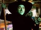 The Witches of Oz