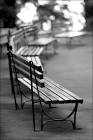 Through the Lens » empty spaces