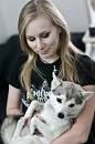 kai nordic breed arba