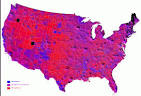 Election 2004 Results