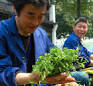 CHENGDU: Deng Xiaoye
