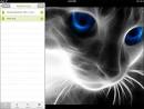 Hands-on with Cubby for the Internet, Windows, Android, iOS[