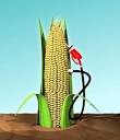 Ethanol Follies Continue on in