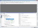 Obfuscated Code