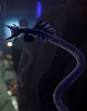 Goa'uld - Wikipedia, the free encyclopedia