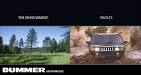 Everyday Environmentalists: Dummer