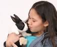 Is a Rabbit the Right Pet for