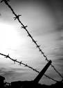 Barbed wire - EquestrianLife Wiki
