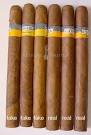 Cohiba Esplendido Cuban Cigars - Real vs Fake Counterfeit Comparison