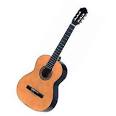 http://modelcare2009.org/files/2010/12/guitar.jpg