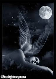 anjo2