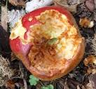 SO9463 : Annie Elizabeth windfall, Hanbury Hall orchard - via Daymix