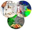 First Annual ORNL Biomedical Science and Engineering Conference ...