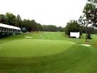 Pine Needles in pictures   WorldGolf