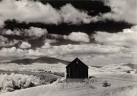 Minor White
