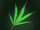 Cannabis - via Daymix