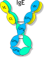 Total Human IgE ELISA Assay