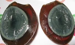 Amateur FootBall Club - 1