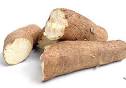 The Council for Biotechnology Information » cassava
