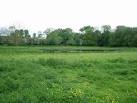 By the Thames, on the Berkshire side of the river. - via Daymix