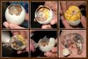 Balut: Would you go ahead and taste this Asian delicacy?