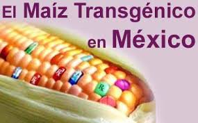 external image images?q=tbn:ANd9GcQAz2uvCREuYENe77yzVS1qU9HtGgWujwIVkVYcZXMpJT66qGxTWw