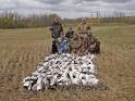 Labrador retriever training, professional gun dog training, AKC ...