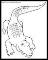 Alligator coloring page
