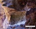 ScienceDirect.com - Journal of Archaeological Science - Uranium