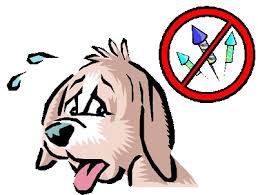 Cure Anxiety in Dogs