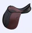 Courbette Saddles