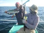 Double-Lined Mackerel in Laiya | Fishing The Philippines