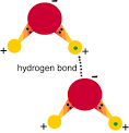 image12.gif