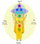 Human Aura Reading and Cleansing - Golden aura colors pictures