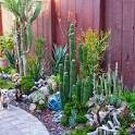 Outdoor Garden Decor with Succulents & the Sea