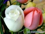 [تصویر: images?q=tbn:ANd9GcQBwlkiMAjIc7D2qSw9fMd...WNQ9UnIDVN]