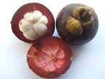 File:<b>Garcinia mangostana</b>.jpg