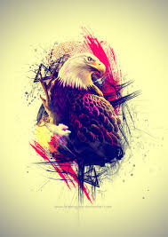 hawk graphic design