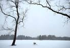 Storms blamed for two deaths as sloppy Christmas weather blankets ...