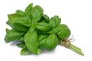 basil pronunciation